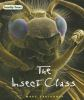 The_insect_class