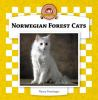 Norwegian_forest_cats