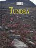 The_Tundra
