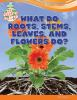 What_do_roots__stems__leaves__and_flowers_do_