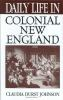 Daily_life_in_colonial_New_England