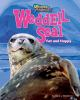 Weddell_seal