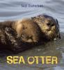 Sea_otter