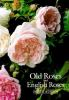 Old_roses_and_English_roses