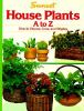 Sunset_house_plants