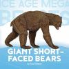 Giant_short-faced_bears