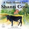 A_safe_home_for_shanti_cow