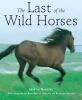 The_last_of_the_wild_horses