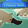 A_platypus__world