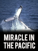 Miracle_in_the_Pacific
