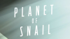 Planet_of_Snail