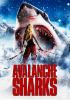 Avalanche_sharks