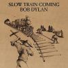 Slow_train_coming