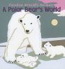 A_polar_bear_s_world