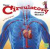 Your_circulatory_system_works_