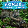 What_eats_what_in_a_forest_food_chain