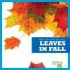 Leaves_in_fall
