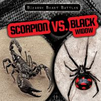 Scorpion_vs__black_widow