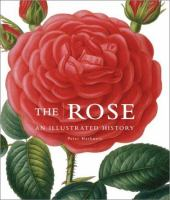The_rose