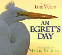 An_egret_s_day