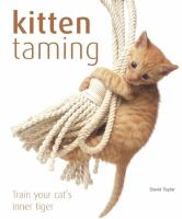 Kitten_taming