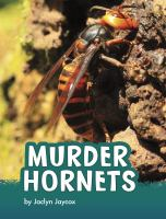 Murder_hornets