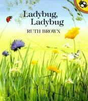 Ladybug__ladybug