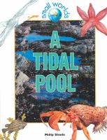 A_tidal_pool