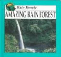Amazing_rain_forest