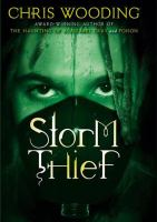 The_storm_thief