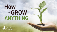 How_to_Grow_Anything