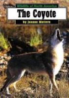 The_coyote