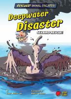 Deepwater_disaster