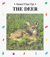The_deer