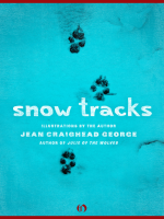 Snow_Tracks